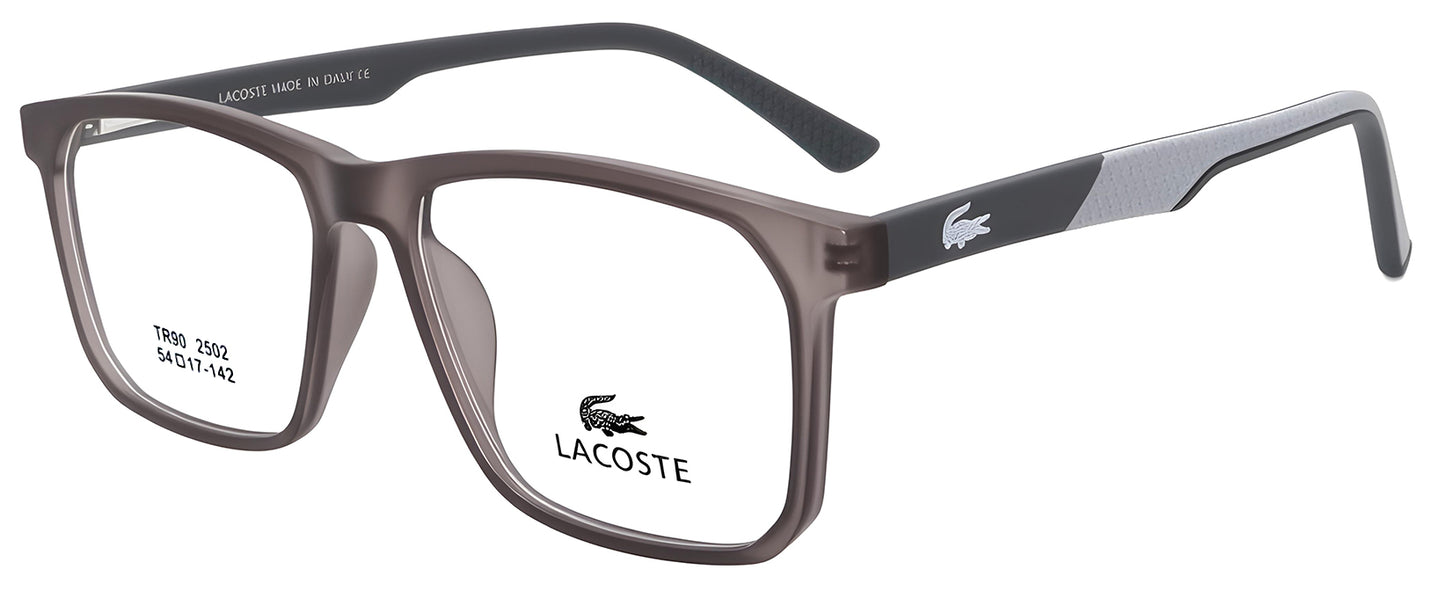 Sunglasses/model:2502
