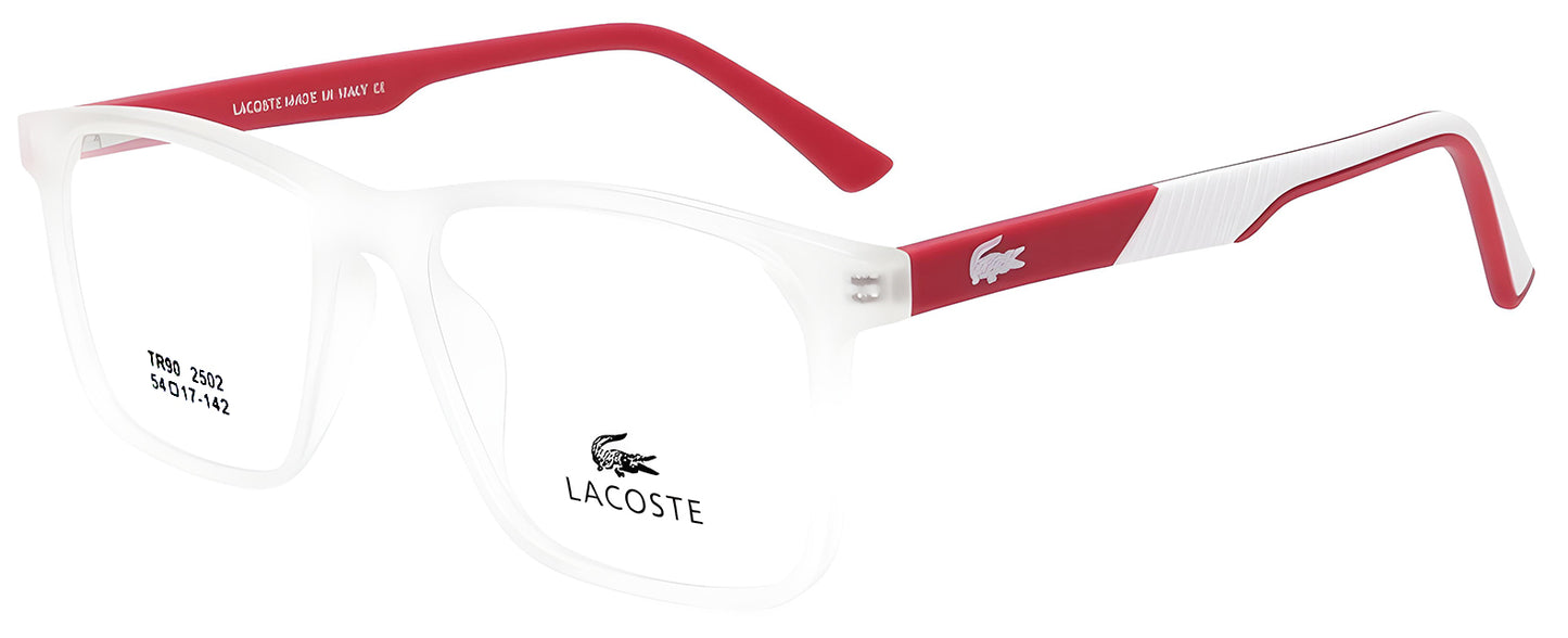 Sunglasses/model:2502