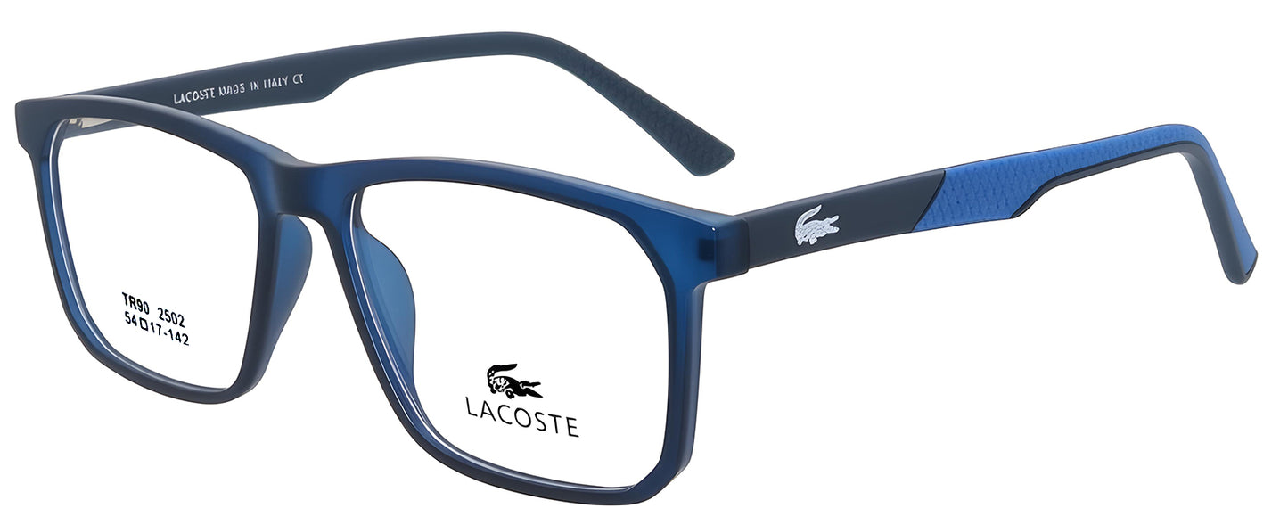 Sunglasses/model:2502