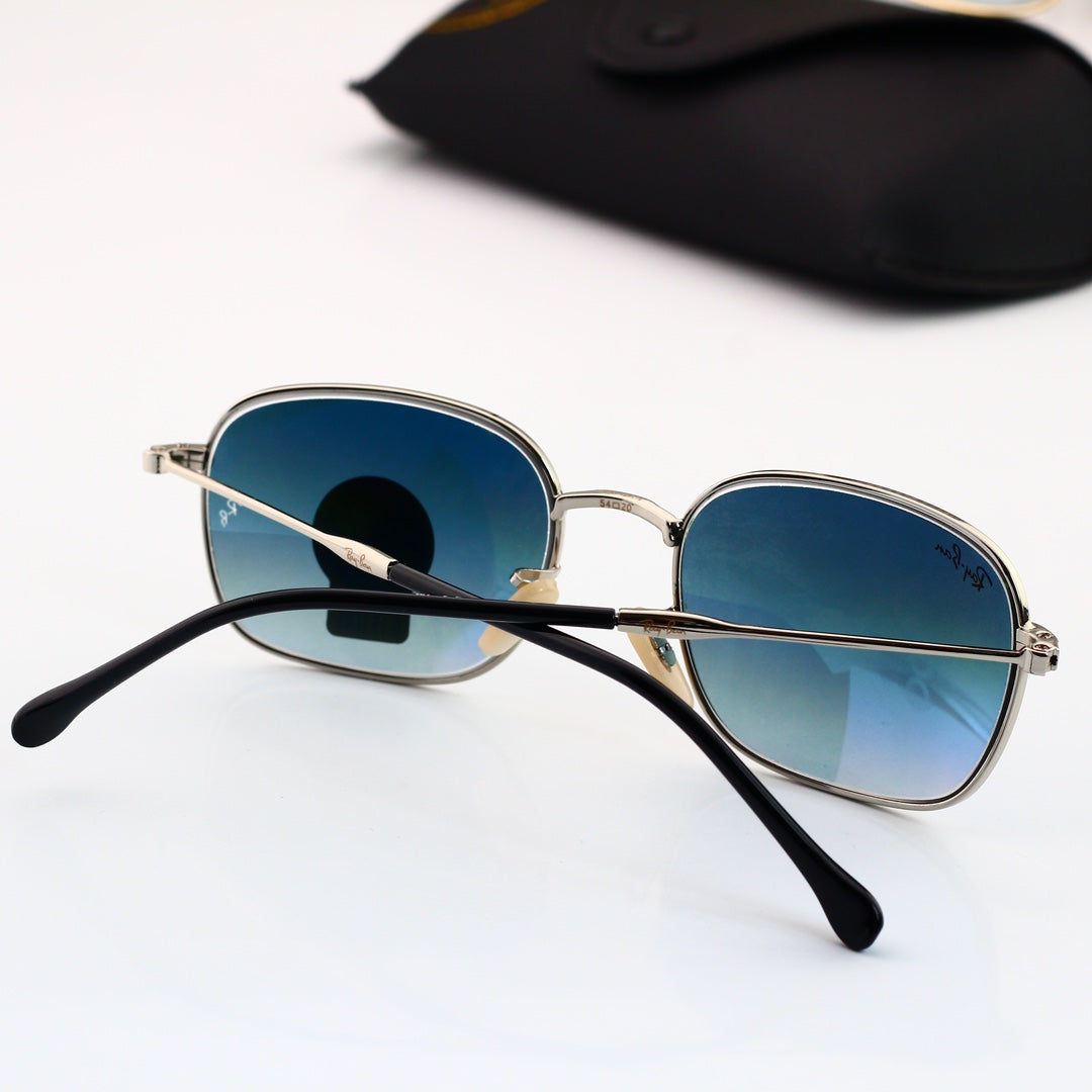 sunglasses / Model:C3706