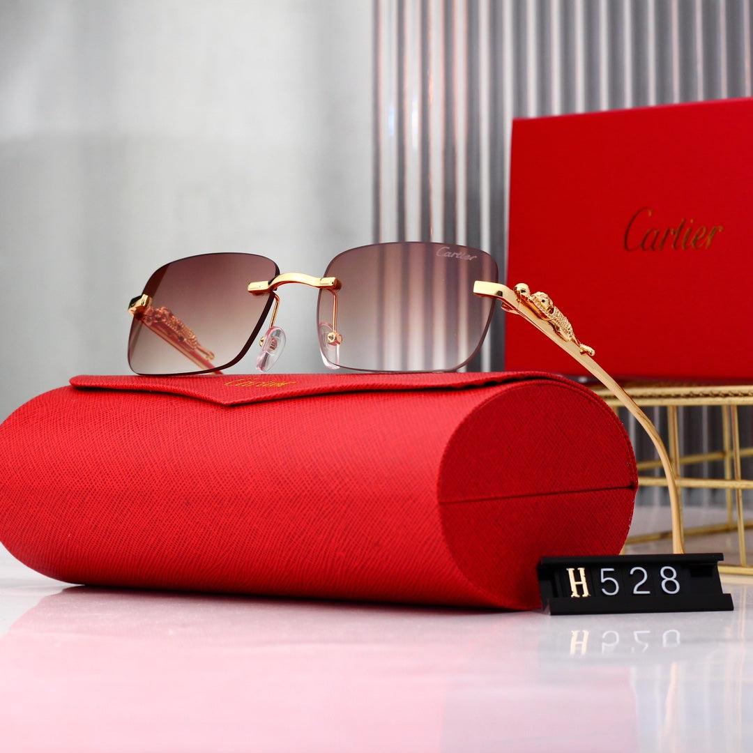 sunglasses / Model:H528