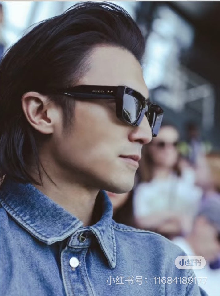 Sunglasses/model:2336