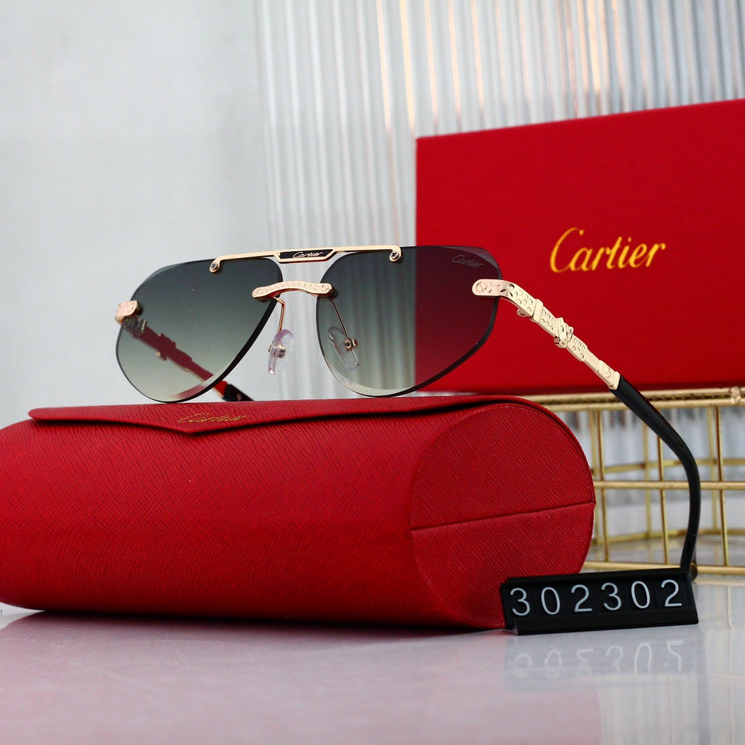 sunglasses / Model: 302302