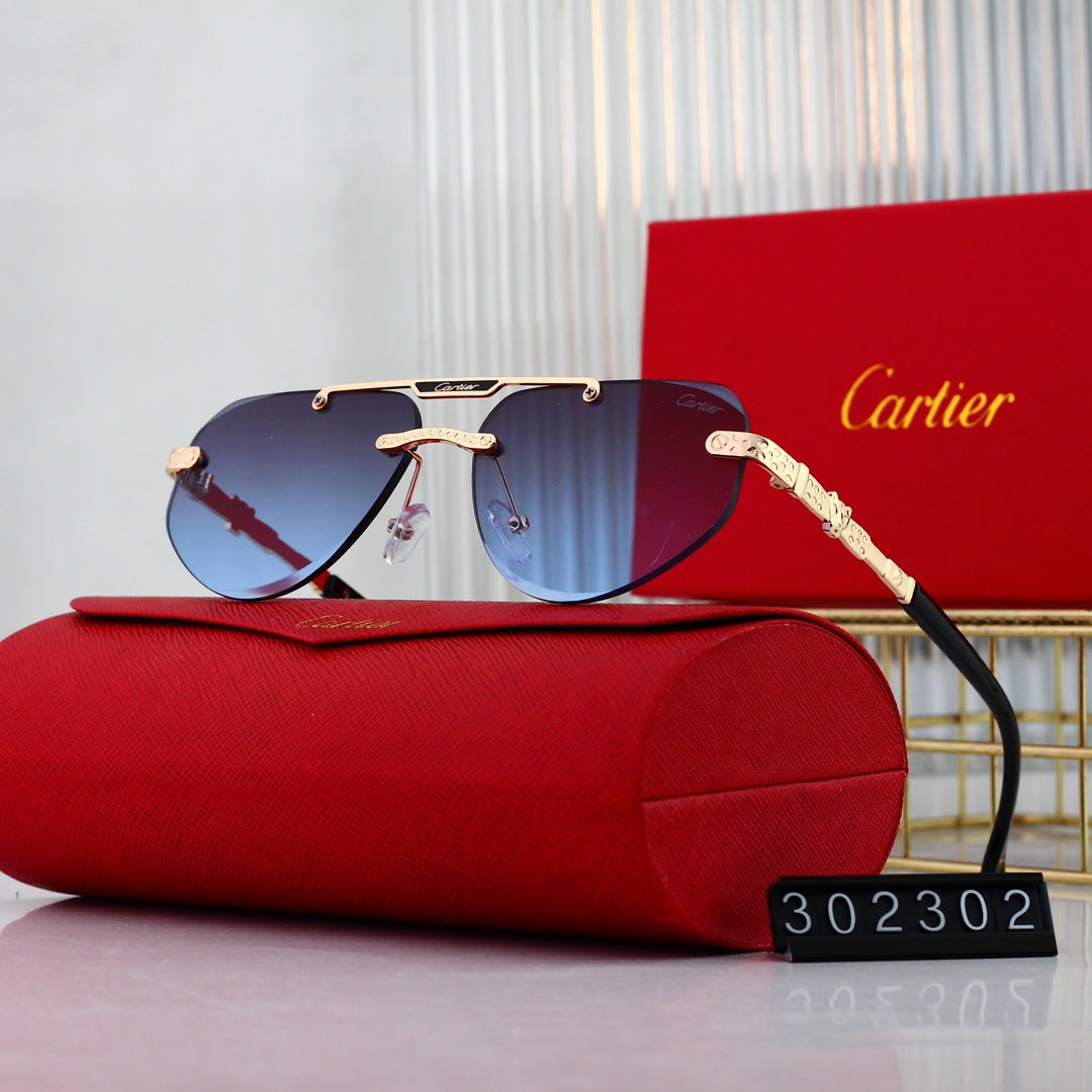 sunglasses / Model: 302302