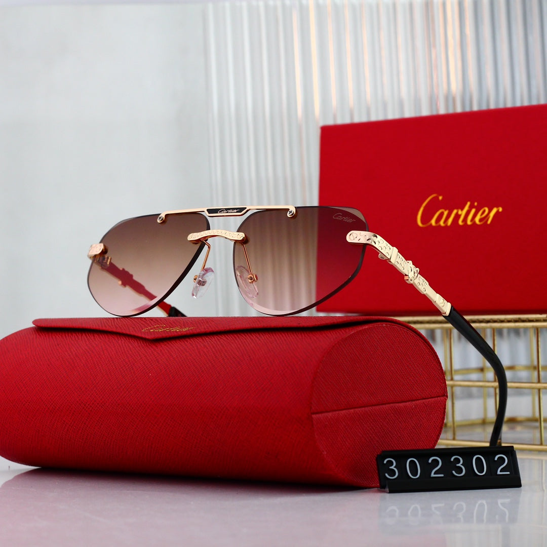 sunglasses / Model: 302302