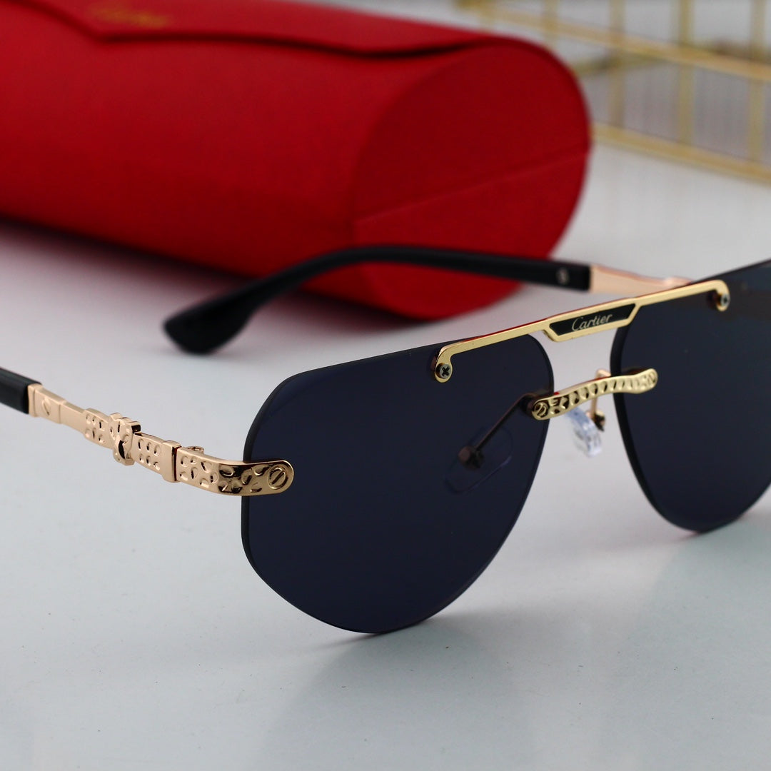 sunglasses / Model: 302302