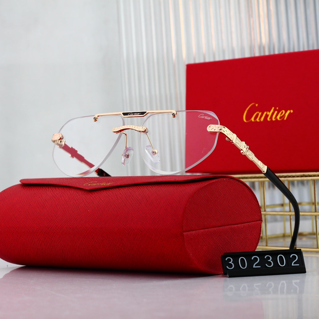 sunglasses / Model: 302302