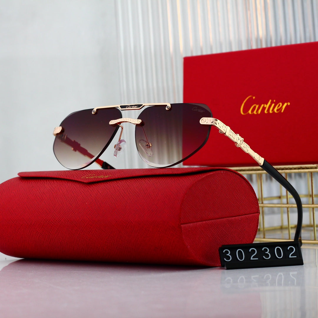 sunglasses / Model: 302302