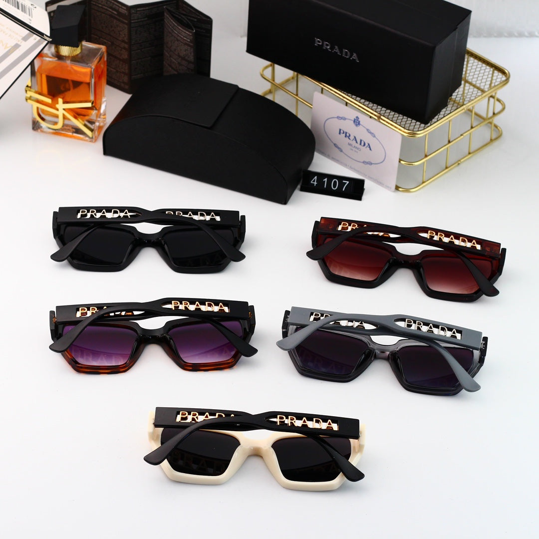 sunglasses / Model: 4107