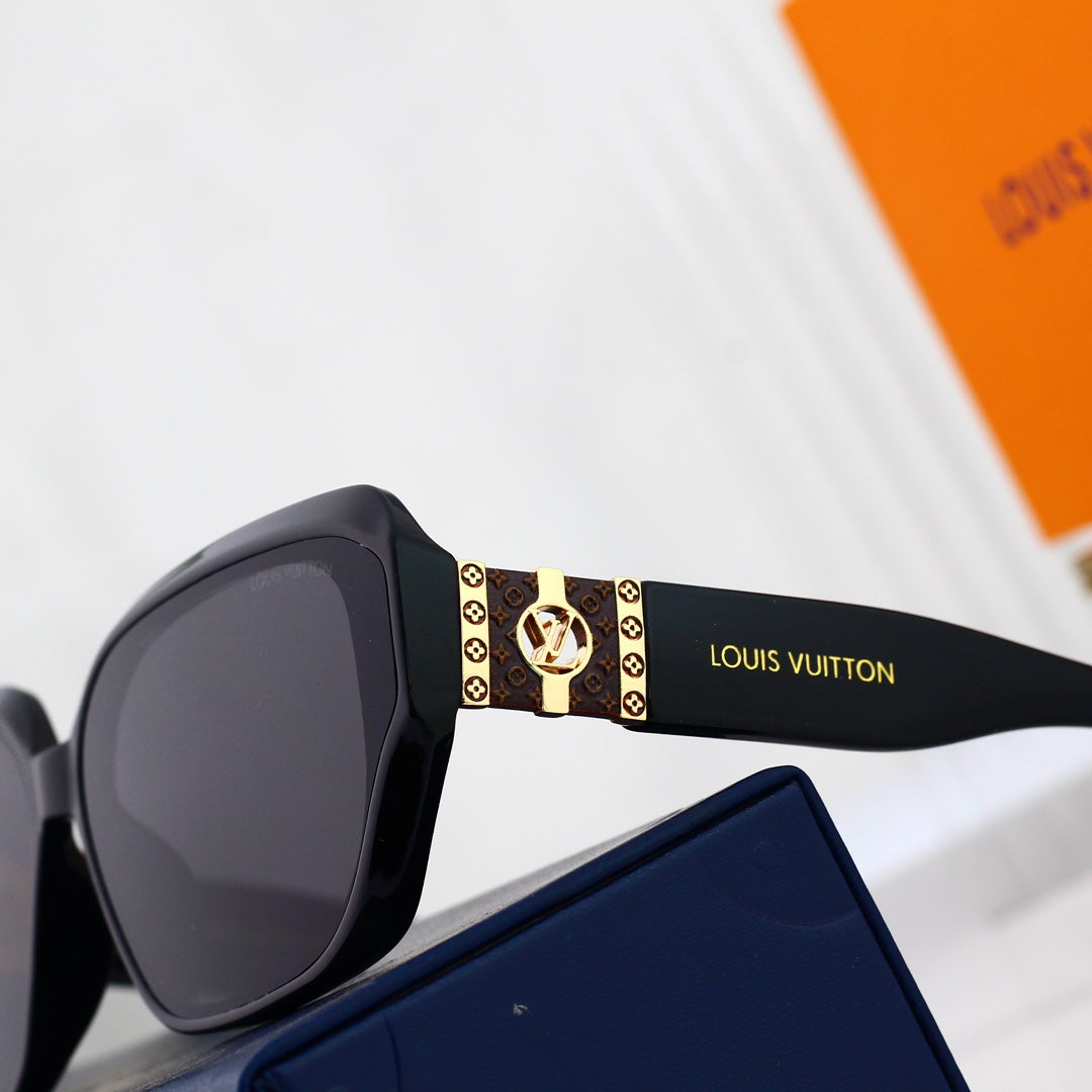 sunglasses / Model:6519