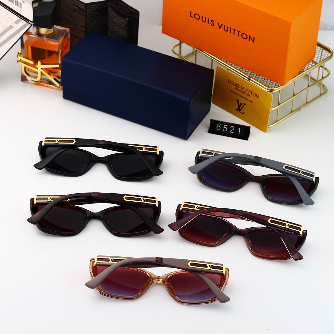 sunglasses / Model: 6521