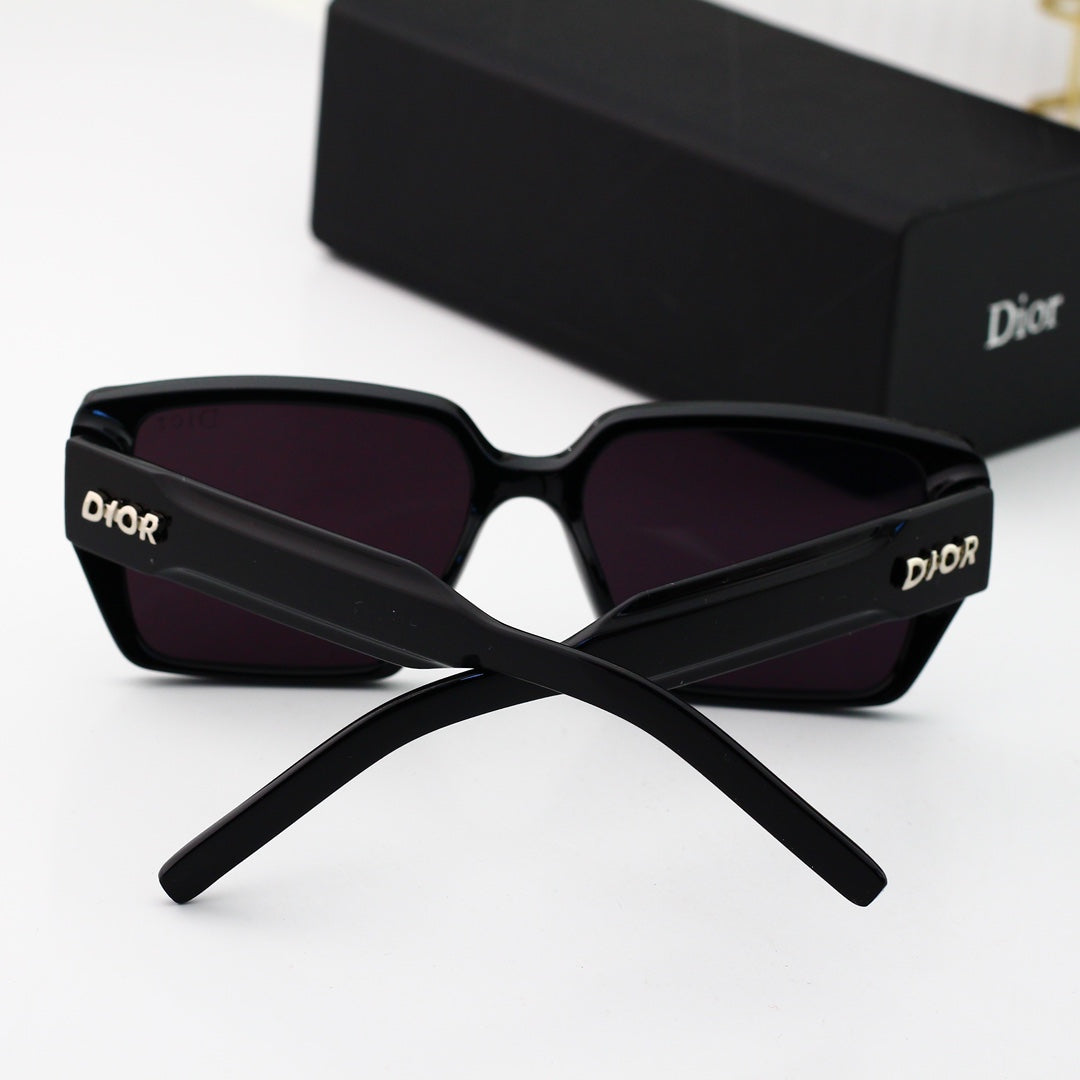 sunglasses / Model:4100