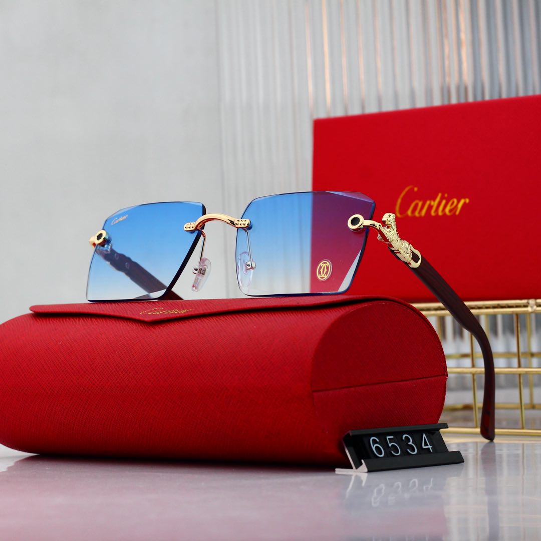 sunglasses /Lens: UV400 /Model:6534