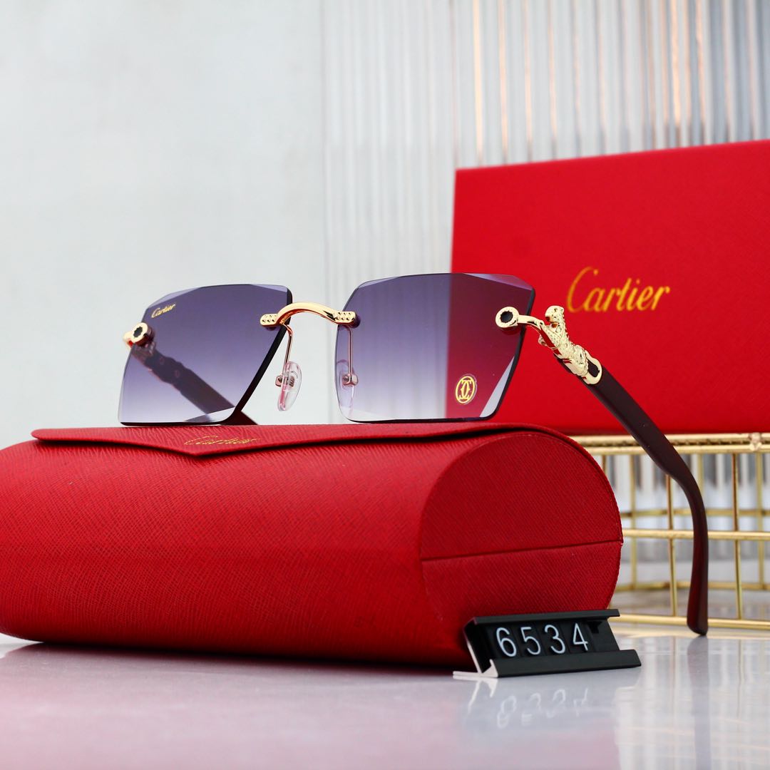 sunglasses /Lens: UV400 /Model:6534