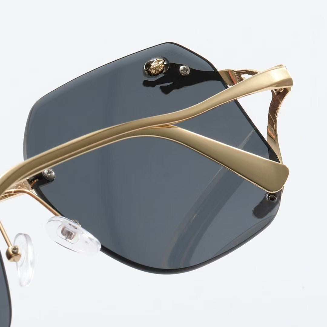 sunglasses / model:C8236