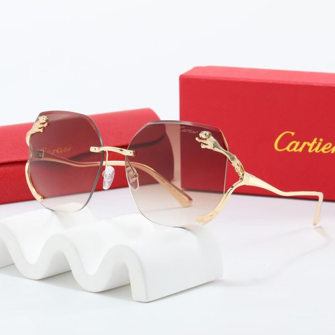 sunglasses / model:C8236