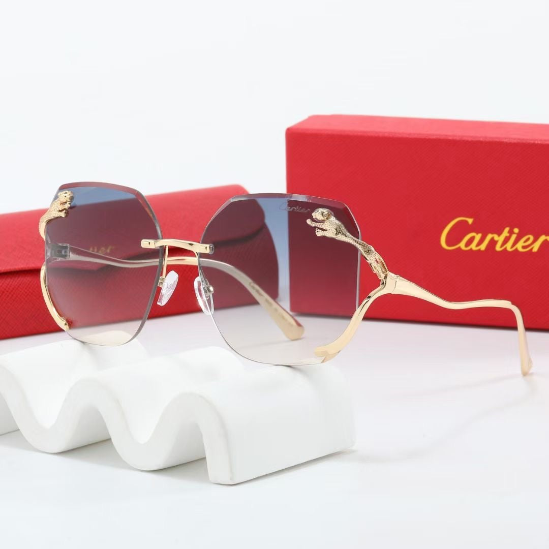 sunglasses / model:C8236