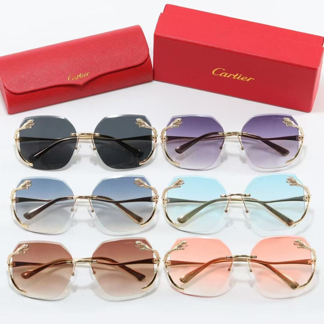 sunglasses / model:C8236