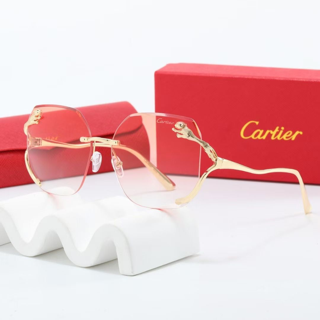 sunglasses / model:C8236