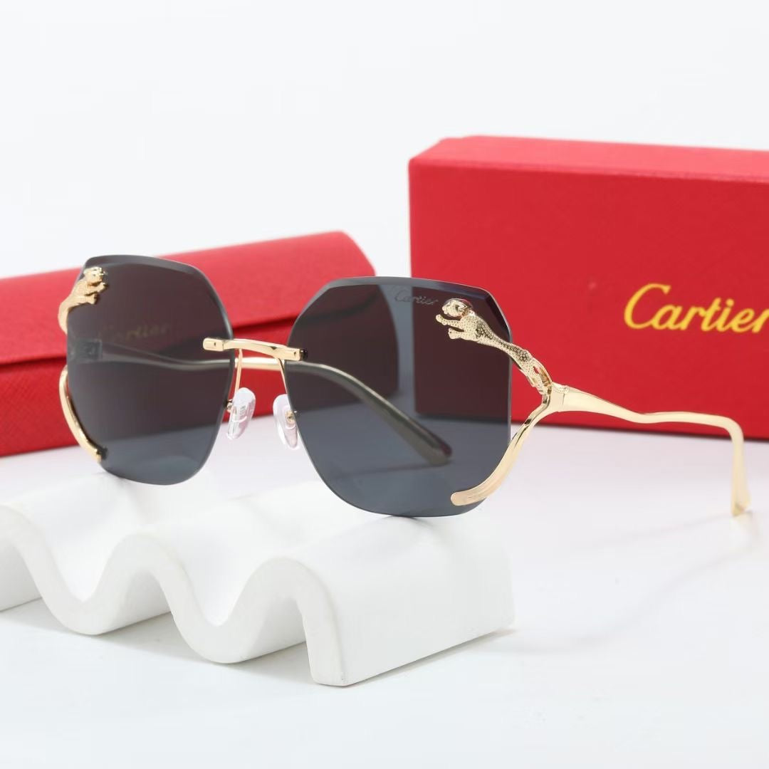 sunglasses / model:C8236
