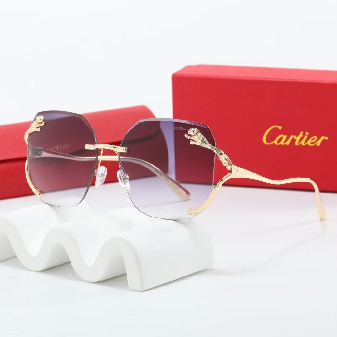 sunglasses / model:C8236