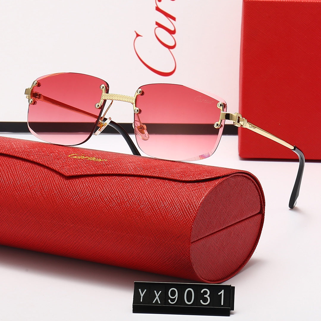 sunglasses / Model:C9031