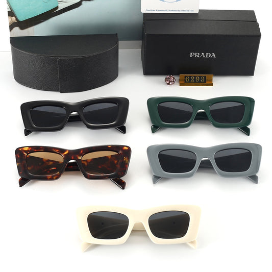 Sunglasses/model:6293