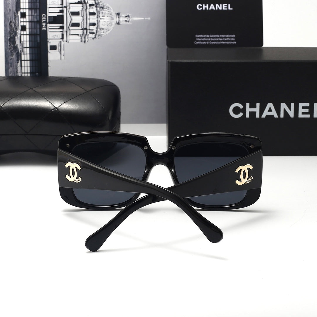 Sunglasses/model:6317
