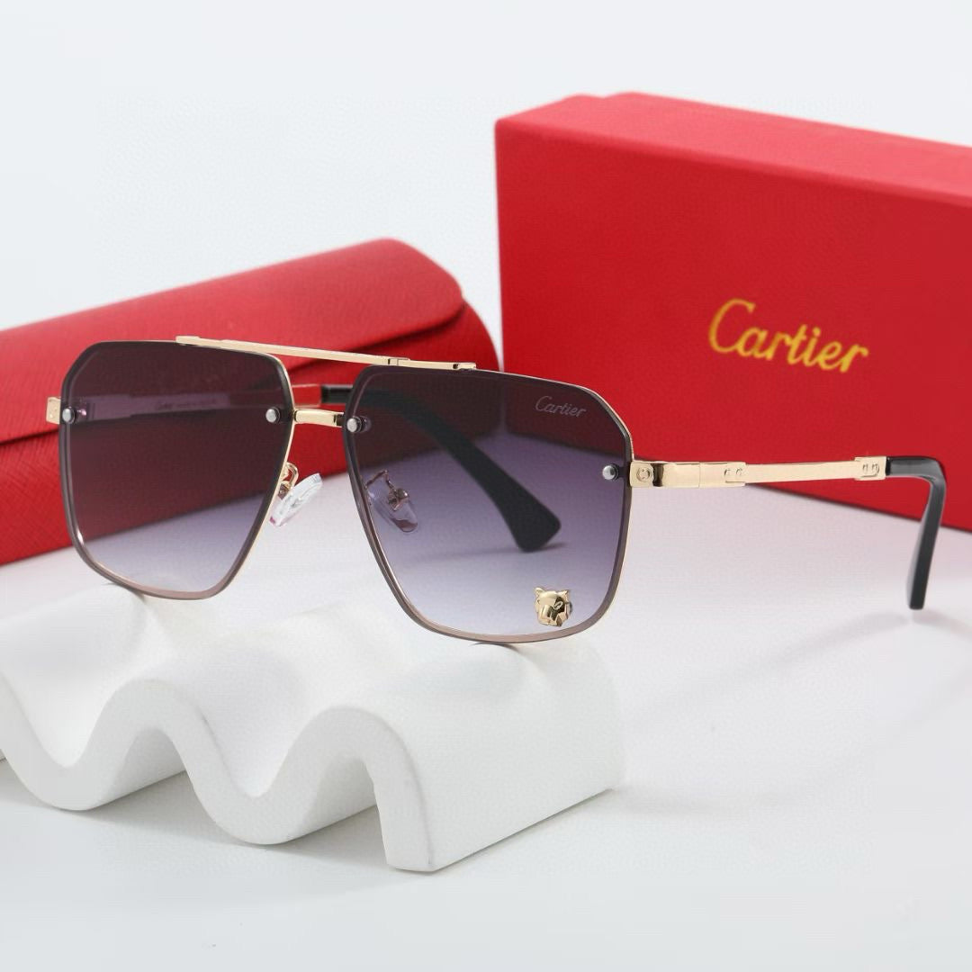 sunglasses /Lens: UV400 /Model:58423