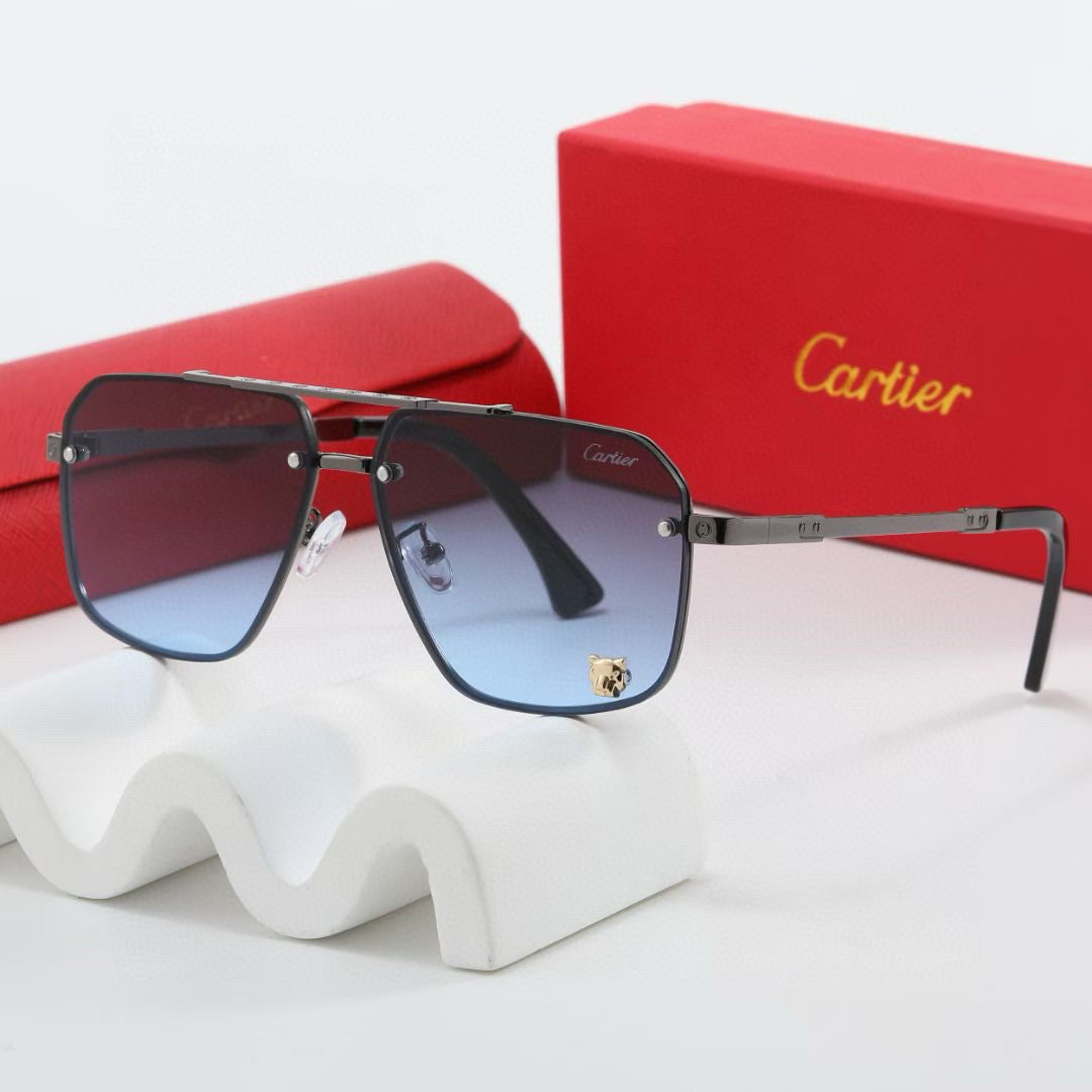 sunglasses /Lens: UV400 /Model:58423