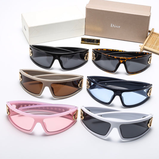 sunglasses / model:2225