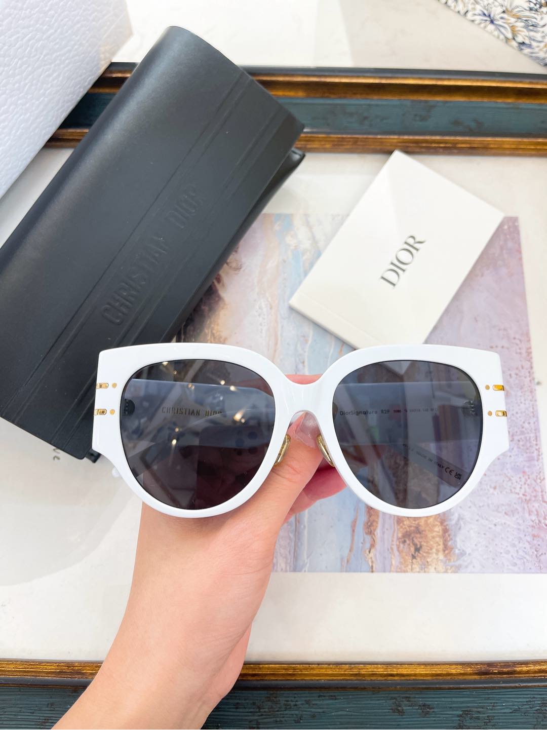 sunglasses/Quality: 5A/Model:R2F