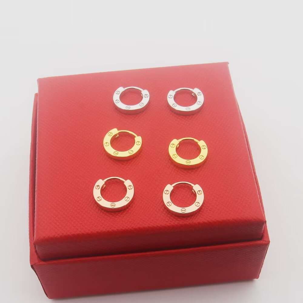 Jewelry/earrings/Model: H2