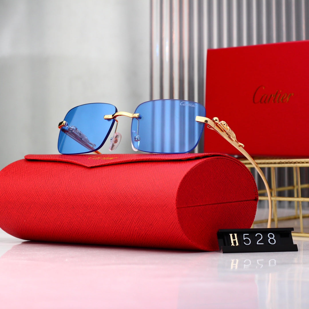 sunglasses / Model:H528