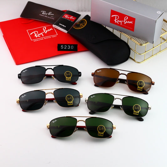 sunglasses / model:C5230