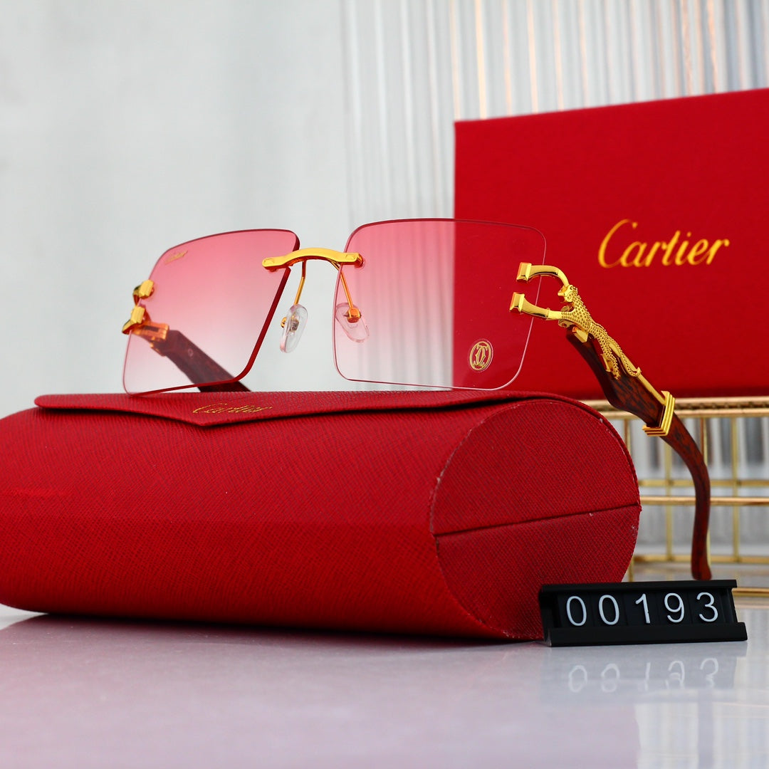 sunglasses / Model:00193