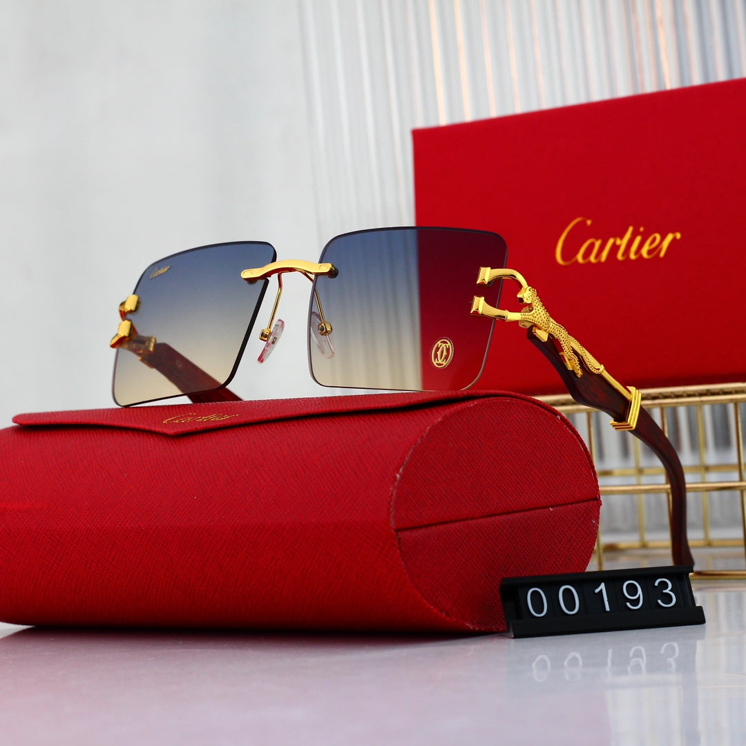 sunglasses / Model:00193