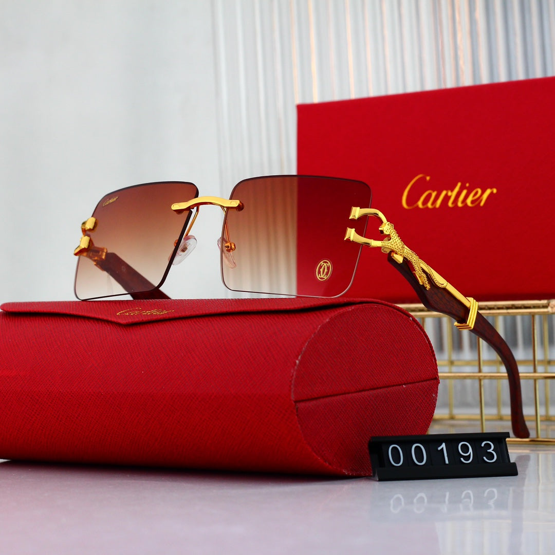 sunglasses / Model:00193