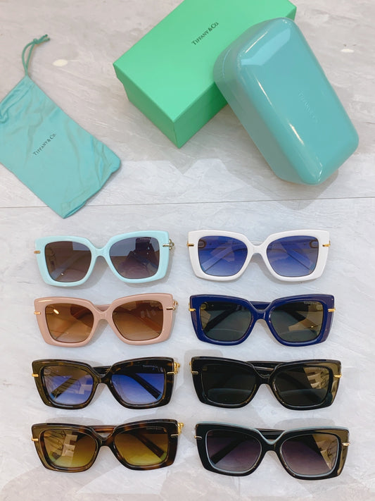 sunglasses/Quality: 5A/Model:TF4199
