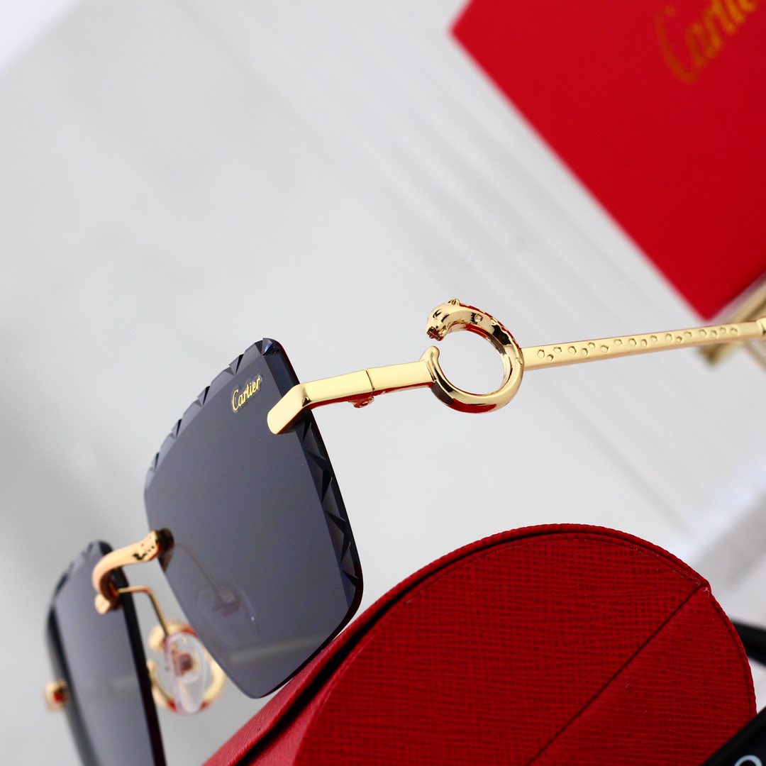 sunglasses /Lens: UV400 /Model:6531