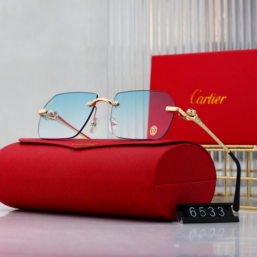 sunglasses /Lens: UV400 /Model:6533