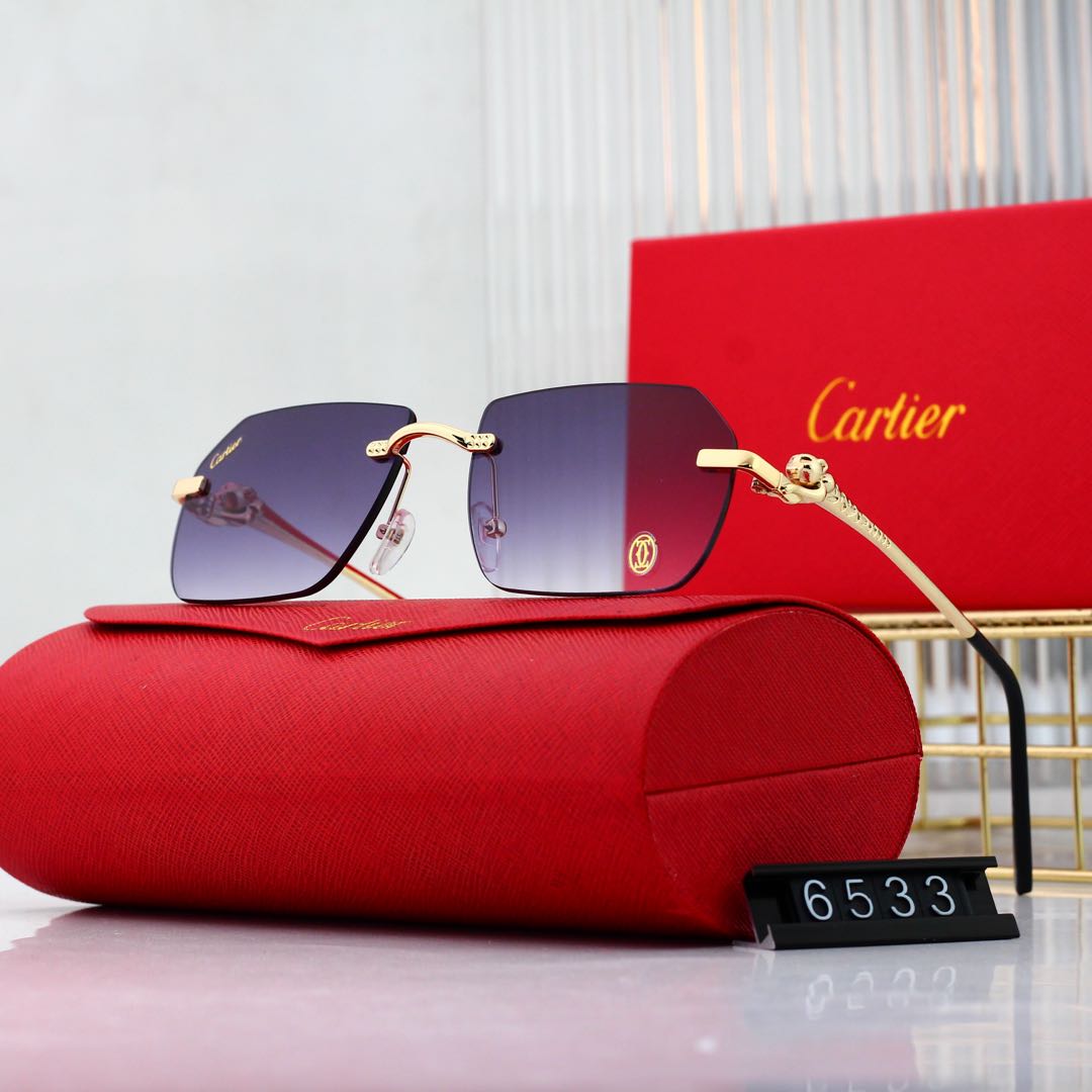 sunglasses /Lens: UV400 /Model:6533