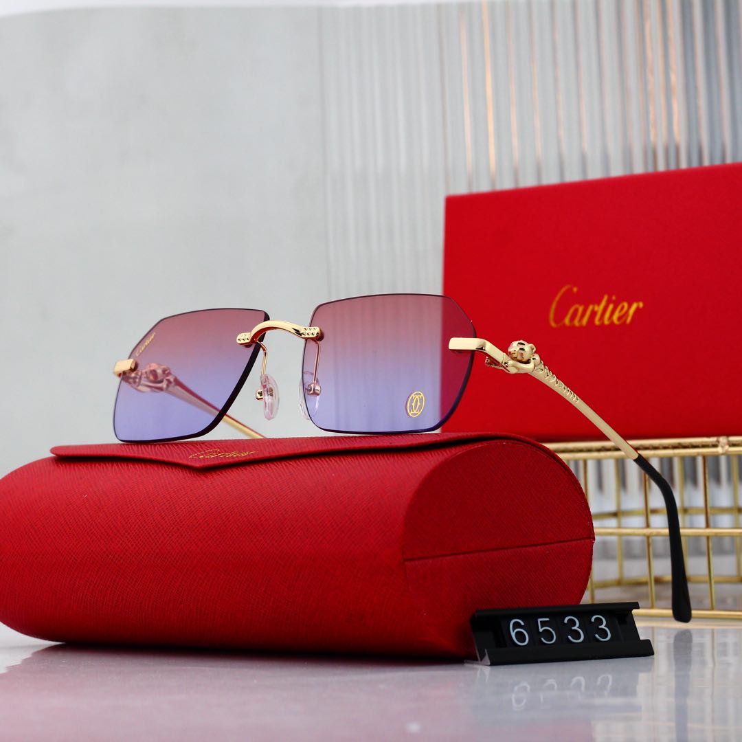sunglasses /Lens: UV400 /Model:6533