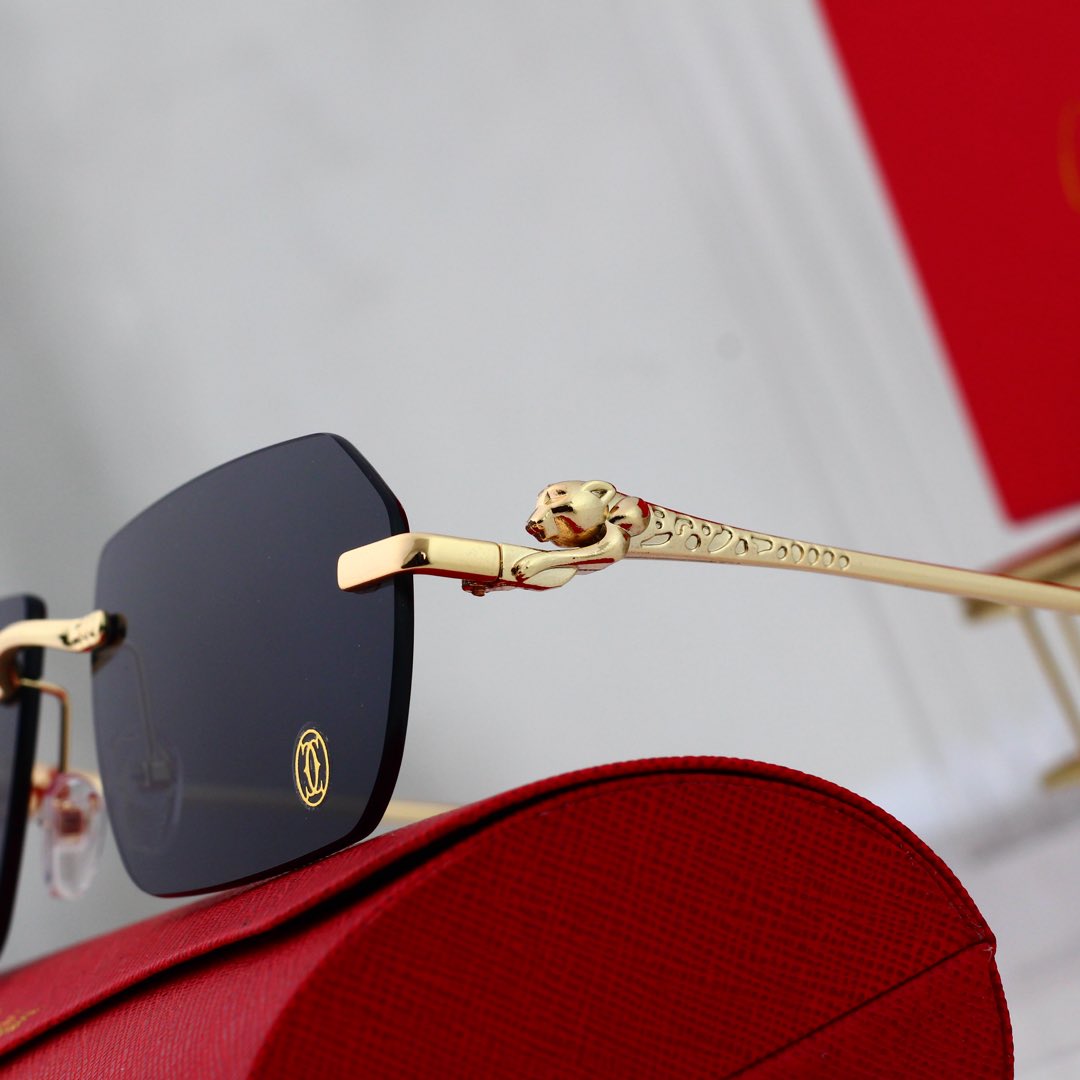 sunglasses /Lens: UV400 /Model:6533