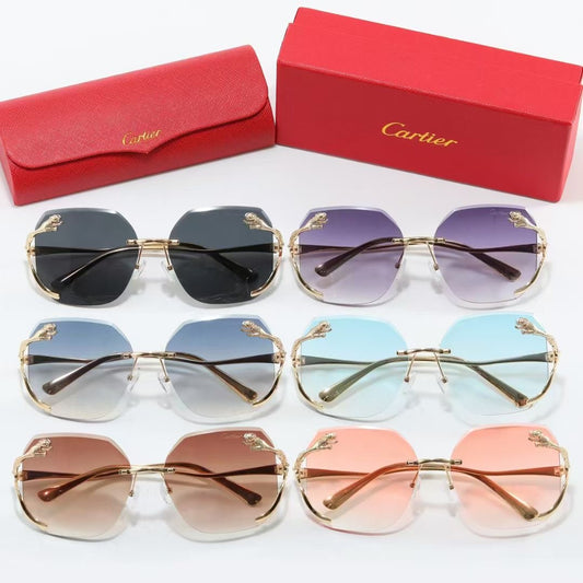 sunglasses / model:C8236