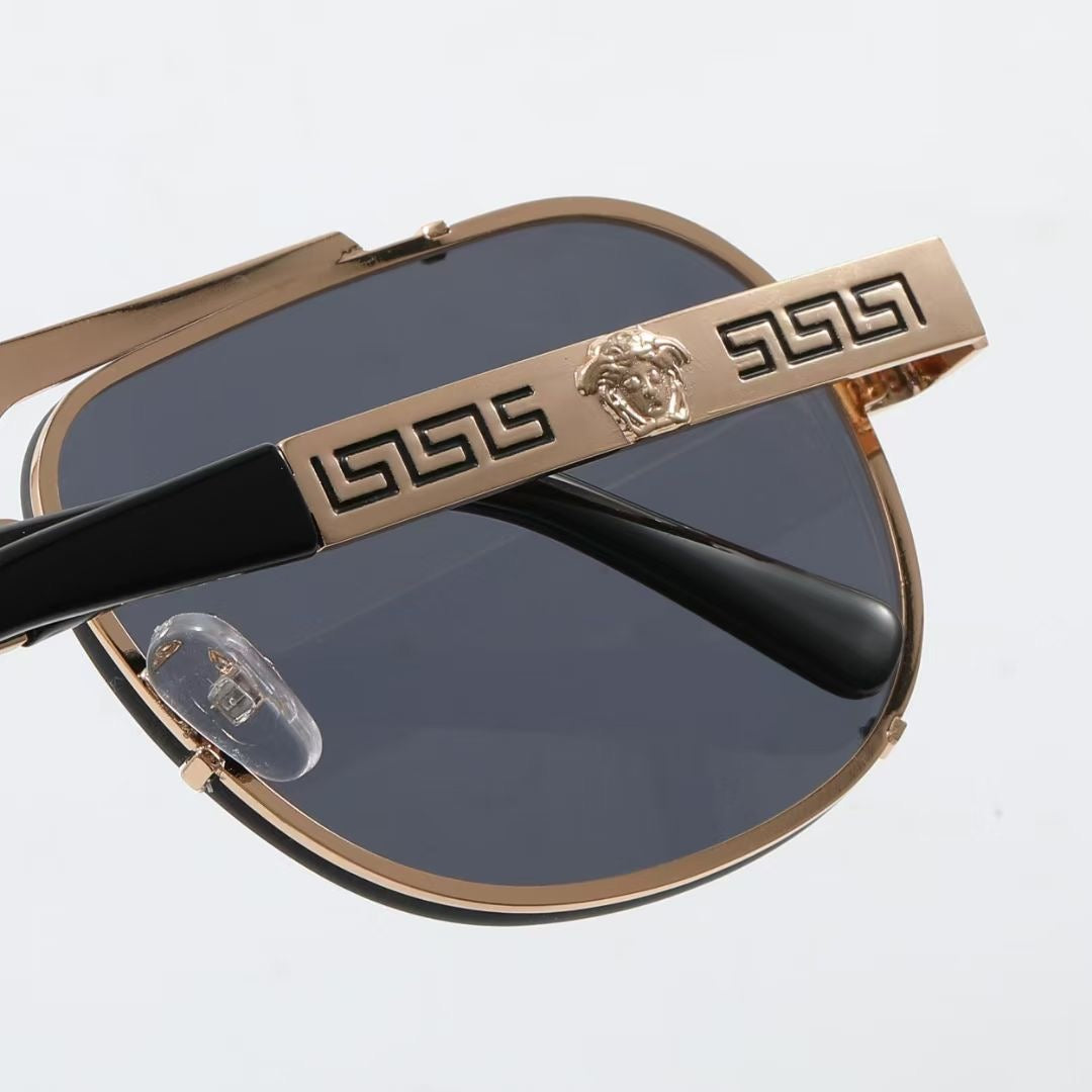 sunglasses / model:C8235