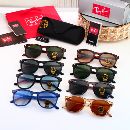 Sunglasses/model:2210