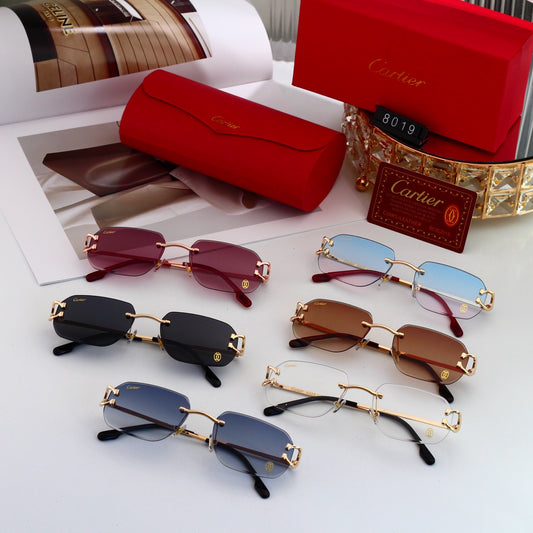 Sunglasses/model:8019