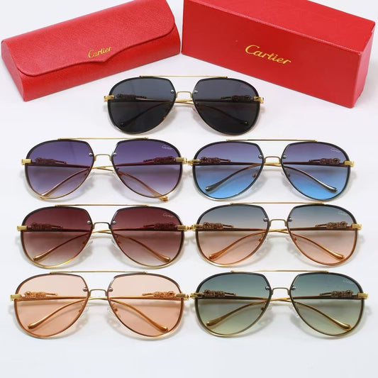 Sunglasses/model:2528