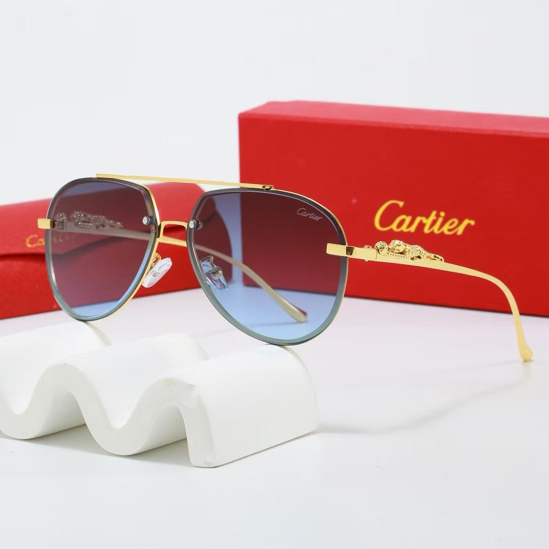 Sunglasses/model:2528